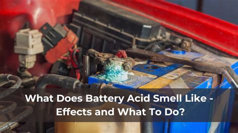 What To Do If Battery Acid Touches You: Essential Steps